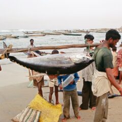 La costa di Visakhapatnam, in India