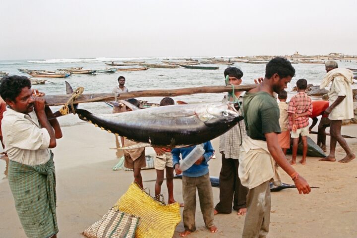La costa di Visakhapatnam, in India